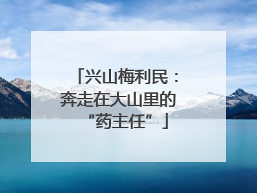 兴山梅利民：奔走在大山里的“药主任”