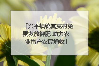 兴平镇统其克村免费发放钾肥 助力农业增产农民增收