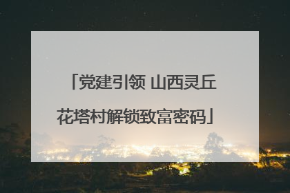党建引领 山西灵丘花塔村解锁致富密码