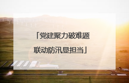 党建聚力破难题 联动防汛显担当
