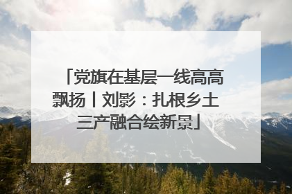 党旗在基层一线高高飘扬丨刘影：扎根乡土 三产融合绘新景