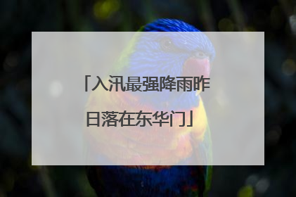 入汛最强降雨昨日落在东华门