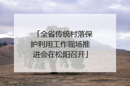 全省传统村落保护利用工作现场推进会在松阳召开