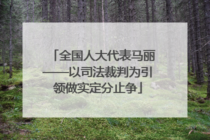 全国人大代表马丽——以司法裁判为引领做实定分止争