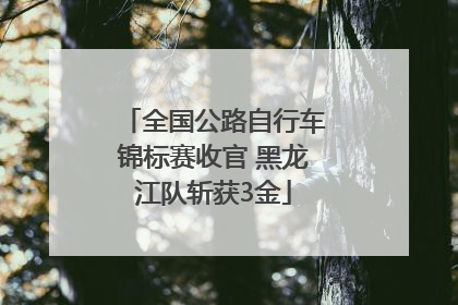 全国公路自行车锦标赛收官 黑龙江队斩获3金