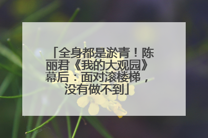 全身都是淤青！陈丽君《我的大观园》幕后：面对滚楼梯，没有做不到