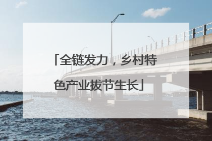 全链发力，乡村特色产业拔节生长
