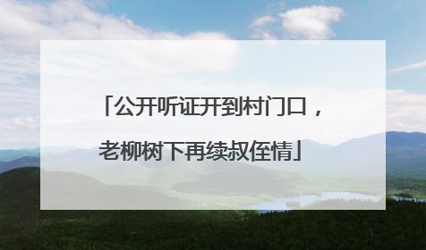 公开听证开到村门口，老柳树下再续叔侄情