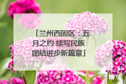 兰州西固区：五月之约 续写民族团结进步新篇章