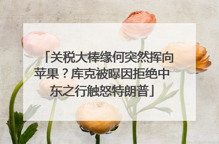关税大棒缘何突然挥向苹果？库克被曝因拒绝中东之行触怒特朗普