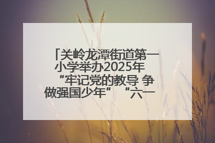 关岭龙潭街道第一小学举办2025年“牢记党的教导 争做强国少年”“六一”文艺汇演活动