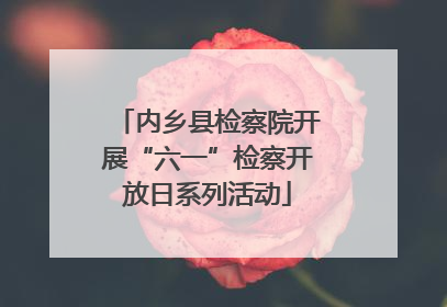 内乡县检察院开展“六一”检察开放日系列活动
