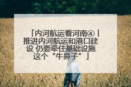 内河航运看河南④丨推进内河航运和港口建设 仍要牵住基础设施这个“牛鼻子”