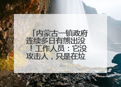 内蒙古一镇政府连续多日有熊出没！工作人员：它没攻击人，只是在垃圾桶翻找食物