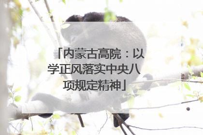 内蒙古高院：以学正风落实中央八项规定精神