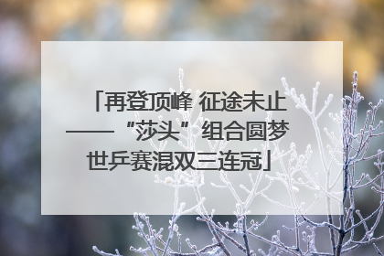再登顶峰 征途未止——“莎头”组合圆梦世乒赛混双三连冠