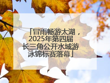 冒雨畅游太湖，2025年第四届长三角公开水域游泳锦标赛落幕