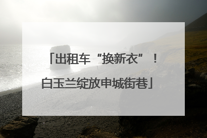 出租车“换新衣”！白玉兰绽放申城街巷