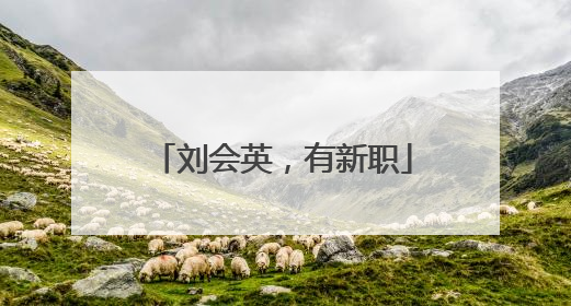 刘会英，有新职