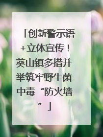 创新警示语+立体宣传！葵山镇多措并举筑牢野生菌中毒“防火墙”
