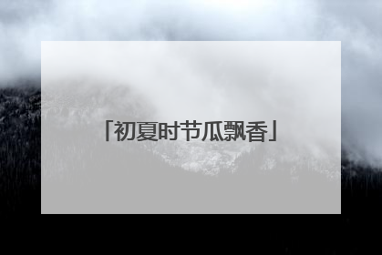 初夏时节瓜飘香