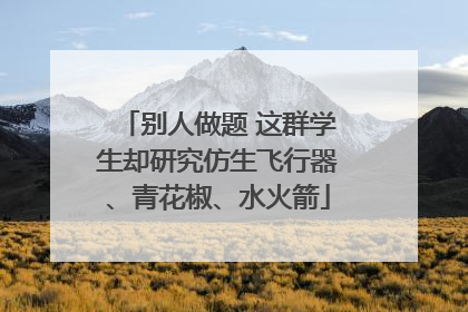 别人做题 这群学生却研究仿生飞行器、青花椒、水火箭