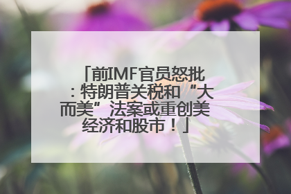 前IMF官员怒批：特朗普关税和“大而美”法案或重创美经济和股市！