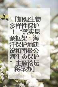 加强生物多样性保护！“落实昆蒙框架：海洋保护地建设和南极公海生态保护”主题论坛将举办