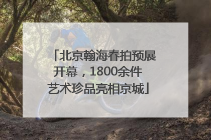 北京翰海春拍预展开幕，1800余件艺术珍品亮相京城
