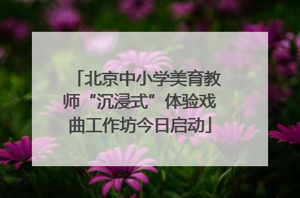北京中小学美育教师“沉浸式”体验戏曲工作坊今日启动