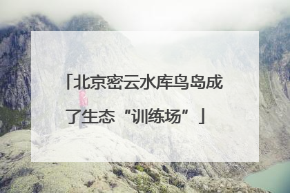 北京密云水库鸟岛成了生态“训练场”