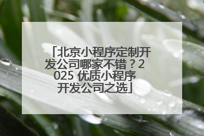 北京小程序定制开发公司哪家不错？2025 优质小程序开发公司之选