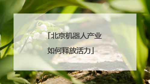 北京机器人产业如何释放活力