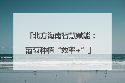 北方海南智慧赋能：葡萄种植“效率+”