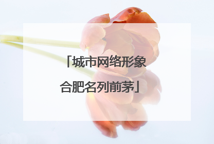 城市网络形象合肥名列前茅