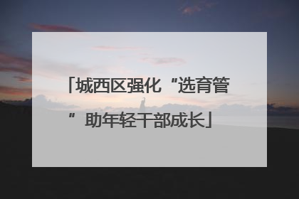 城西区强化“选育管”助年轻干部成长