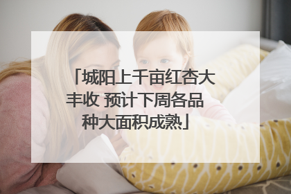 城阳上千亩红杏大丰收 预计下周各品种大面积成熟