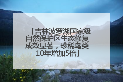吉林波罗湖国家级自然保护区生态修复成效显著，珍稀鸟类10年增加5倍