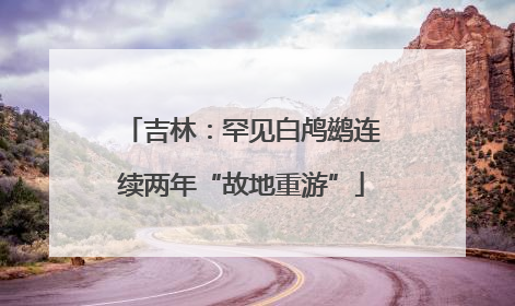 吉林：罕见白鸬鹚连续两年“故地重游”