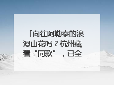 向往阿勒泰的浪漫山花吗？杭州藏着“同款”，已全面进入盛花期