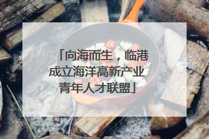 向海而生，临港成立海洋高新产业青年人才联盟
