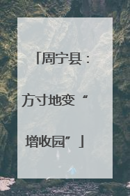 周宁县：方寸地变“增收园”