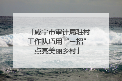 咸宁市审计局驻村工作队巧用“三招”点亮美丽乡村