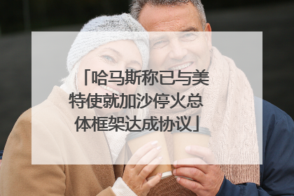 哈马斯称已与美特使就加沙停火总体框架达成协议