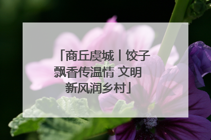 商丘虞城丨饺子飘香传温情 文明新风润乡村