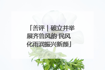 善评｜破立并举展齐鲁风韵 民风化雨润振兴新颜