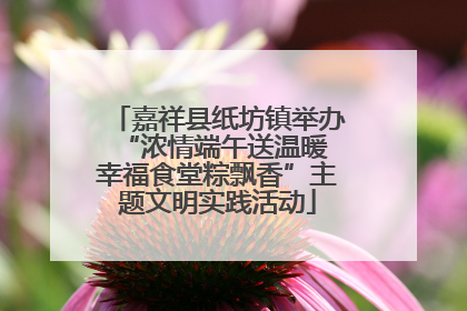 嘉祥县纸坊镇举办“浓情端午送温暖 幸福食堂粽飘香”主题文明实践活动