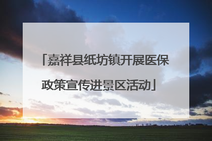 嘉祥县纸坊镇开展医保政策宣传进景区活动