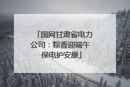 国网甘肃省电力公司：粽香迎端午 保电护安康