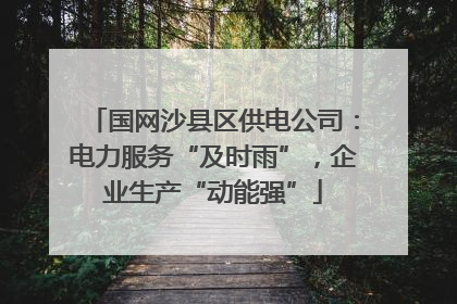 国网沙县区供电公司：电力服务“及时雨”，企业生产“动能强”
